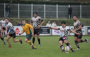 PAMIERS / BALMA : Le pied